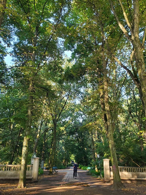 Ahornsteig, Tiergarten, Berlin, Germany, July 30, 2025