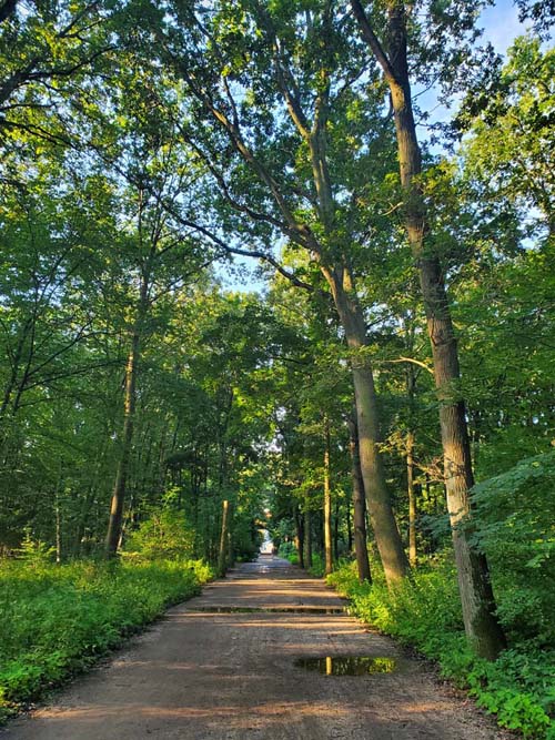 Tiergarten, Berlin, Germany, July 30, 2025