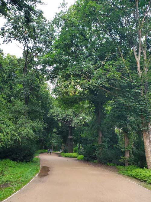 Großer Weg, Tiergarten, Berlin, Germany, July 31, 2025