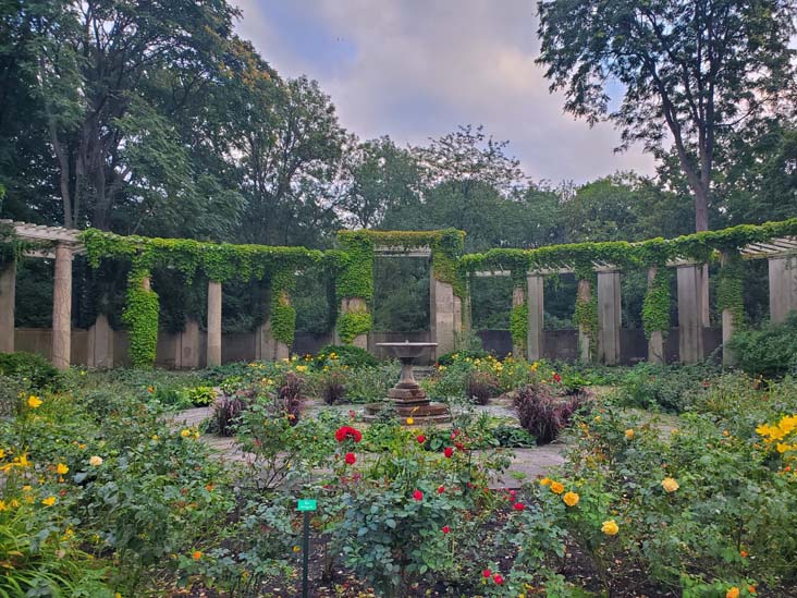 Rosengarten, Tiergarten, Berlin, Germany, July 31, 2025