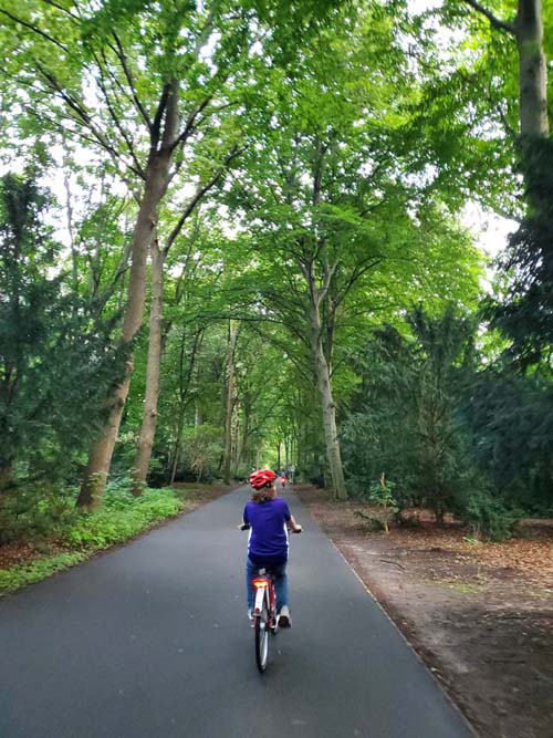 Tiergarten, Berlin, Germany, July 31, 2025