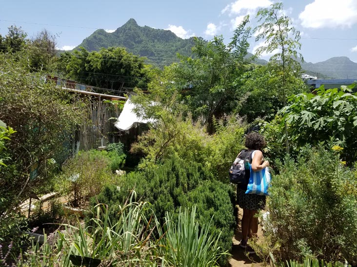 Plantas Medicinales, San Juan La Laguna, Guatemala, July 29, 2019