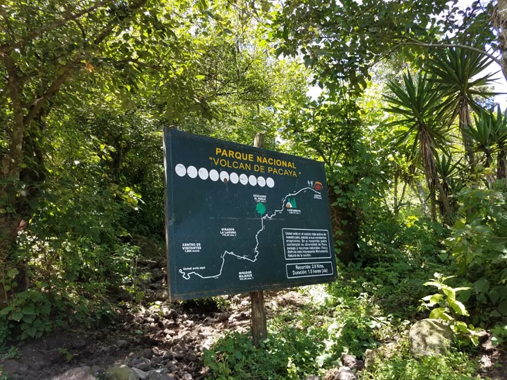 Trail, Volcán de Pacaya, Guatemala, July 31, 2019