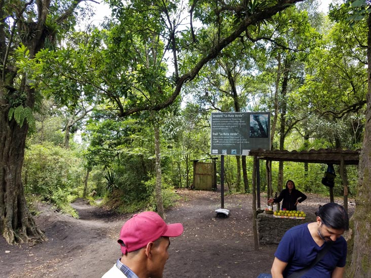 Descanso El Roble Rest Stop, Volcán de Pacaya, Guatemala, July 31, 2019