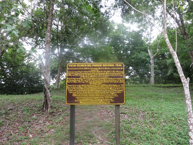 Tikal, Petén, Guatemala, July 21, 2019