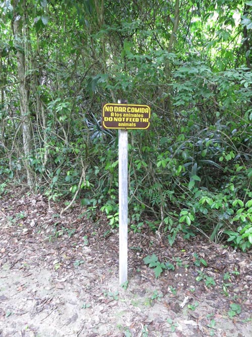 Tikal, Petén, Guatemala, July 21, 2019