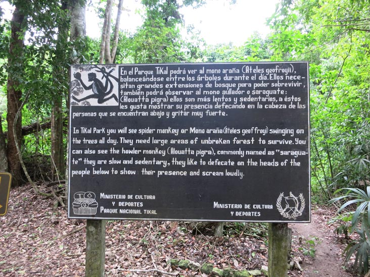 Monkey Information Sign, Tikal, Petén, Guatemala, July 21, 2019