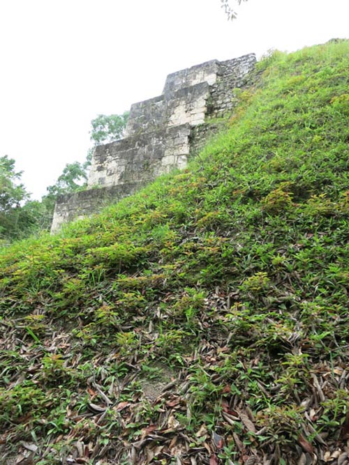 Group Q, Tikal, Petén, Guatemala, July 21, 2019