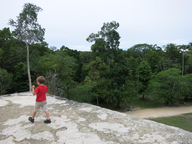 View From Group Q Structure, Tikal, Petén, Guatemala, July 21, 2019