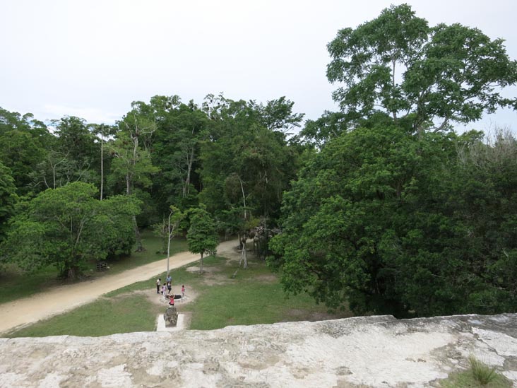 View From Group Q Structure, Tikal, Petén, Guatemala, July 21, 2019