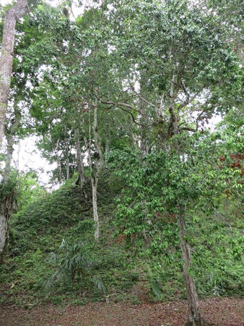 Group R, Tikal, Petén, Guatemala, July 21, 2019