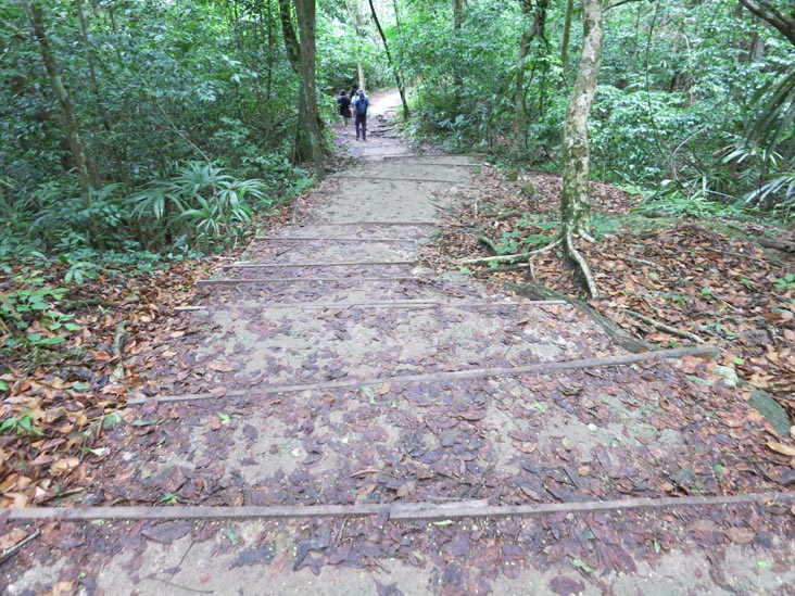 Tikal, Petén, Guatemala, July 21, 2019