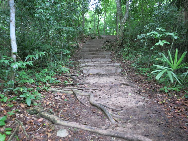 Tikal, Petén, Guatemala, July 21, 2019