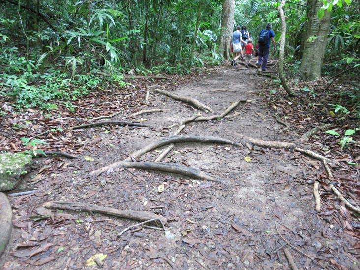 Tikal, Petén, Guatemala, July 21, 2019