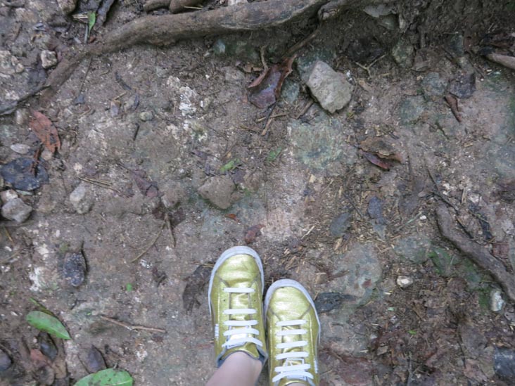 Tikal, Petén, Guatemala, July 21, 2019