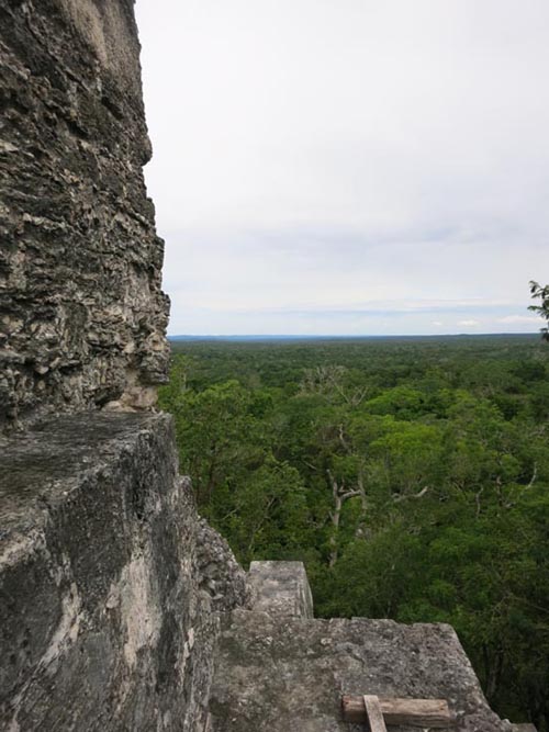 View From Temple IV, Tikal, Petén, Guatemala, July 21, 2019