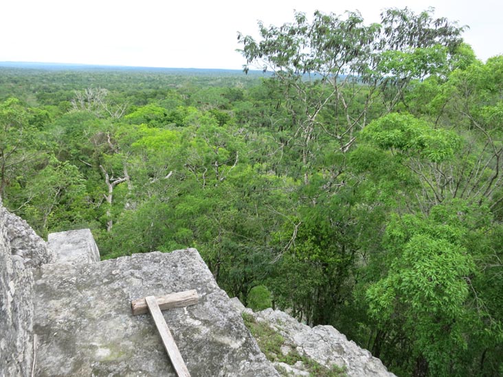 View From Temple IV, Tikal, Petén, Guatemala, July 21, 2019
