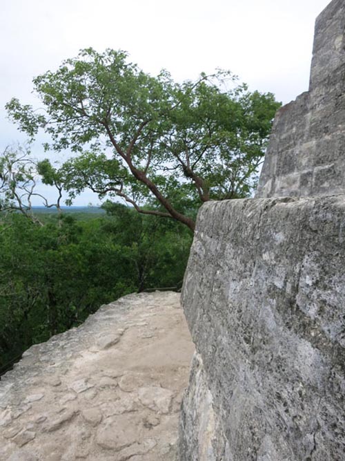 Temple IV, Tikal, Petén, Guatemala, July 21, 2019