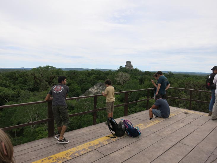 View From Great Pyramid, Mundo Perdido, Tikal, Petén, Guatemala, July 21, 2019