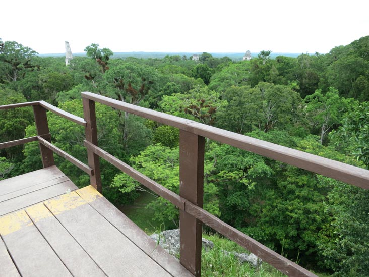 View From Great Pyramid, Mundo Perdido, Tikal, Petén, Guatemala, July 21, 2019