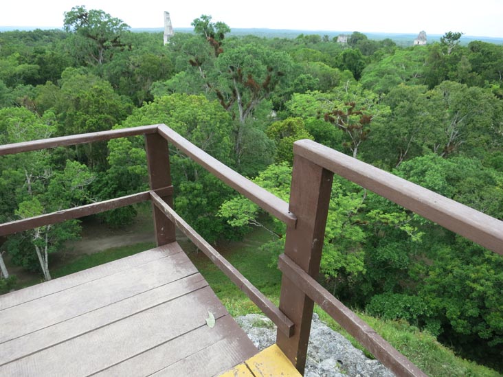 View From Great Pyramid, Mundo Perdido, Tikal, Petén, Guatemala, July 21, 2019