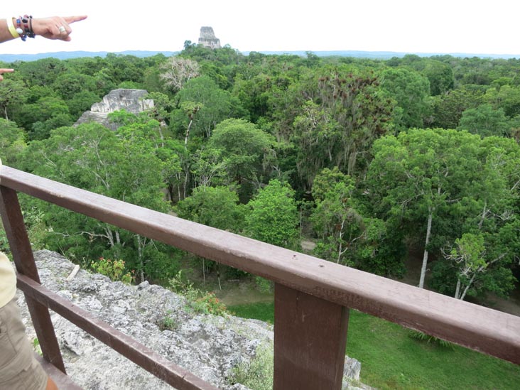 View From Great Pyramid, Mundo Perdido, Tikal, Petén, Guatemala, July 21, 2019
