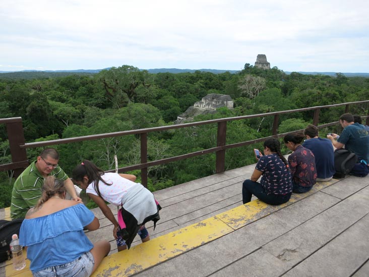 View From Great Pyramid, Mundo Perdido, Tikal, Petén, Guatemala, July 21, 2019
