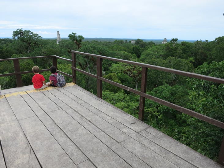 View From Great Pyramid, Mundo Perdido, Tikal, Petén, Guatemala, July 21, 2019
