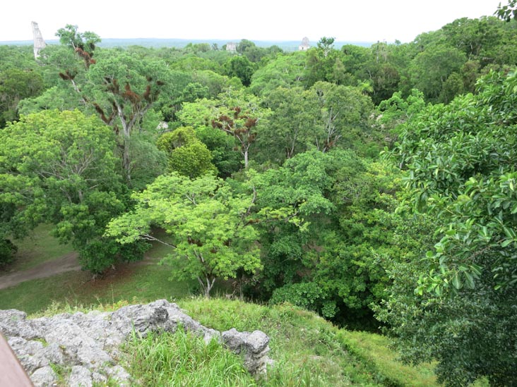 View From Great Pyramid, Mundo Perdido, Tikal, Petén, Guatemala, July 21, 2019