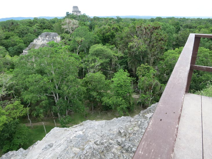 View From Great Pyramid, Mundo Perdido, Tikal, Petén, Guatemala, July 21, 2019