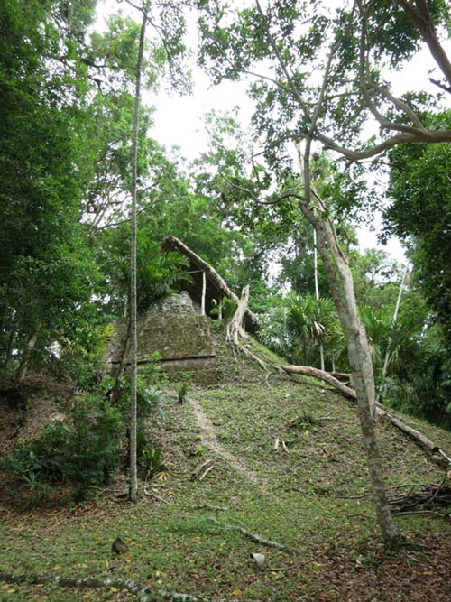 Tikal, Petén, Guatemala, July 21, 2019