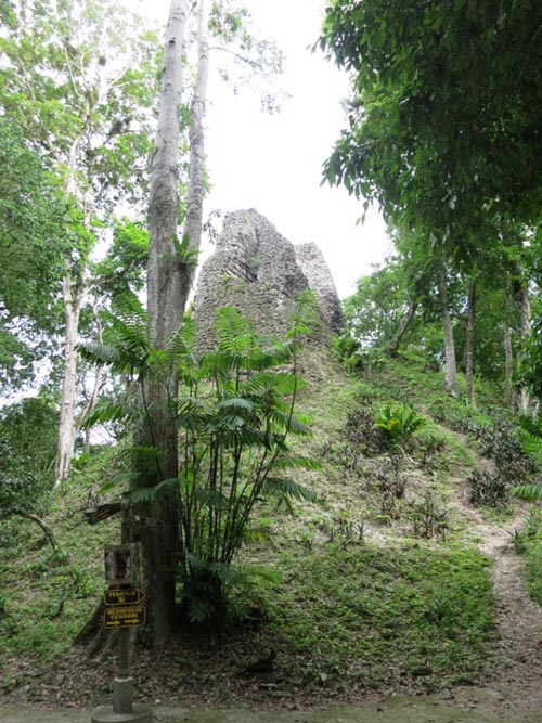 Tikal, Petén, Guatemala, July 21, 2019