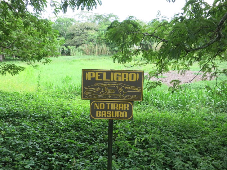Tikal, Petén, Guatemala, July 21, 2019