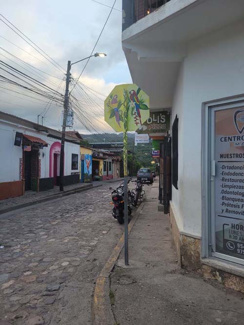 Avenida Centroamericano at Calle Independencia, Cop&aacute;n Ruinas, Honduras, August 11, 2024