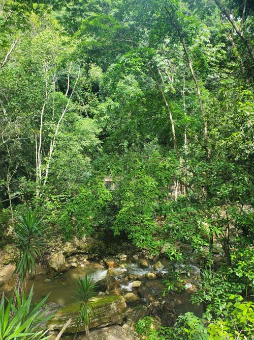 Macaw Mountain, Copán Ruinas, Honduras, August 12, 2024