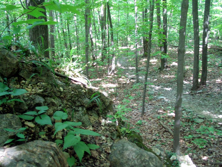 Big Rock, Short Hike To Sunnyside Road From Malouf's Mountain Sunset Camp, Overlook Trail, Beacon Hills, New York, June 24, 2007