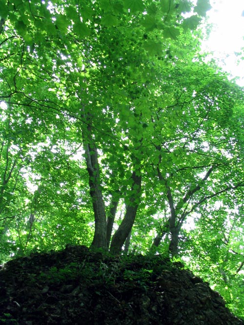 Big Rock, Short Hike To Sunnyside Road From Malouf's Mountain Sunset Camp, Overlook Trail, Beacon Hills, New York, June 24, 2007