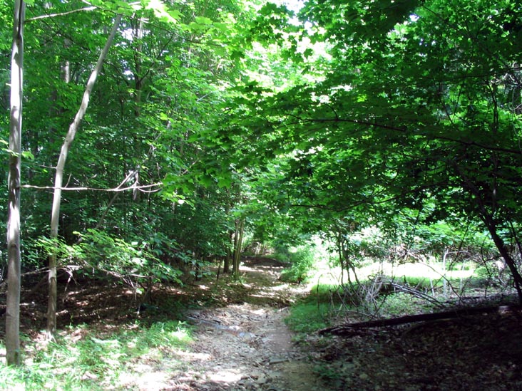 Short Hike To Sunnyside Road From Malouf's Mountain Sunset Camp, Overlook Trail, Beacon Hills, New York, June 24, 2007