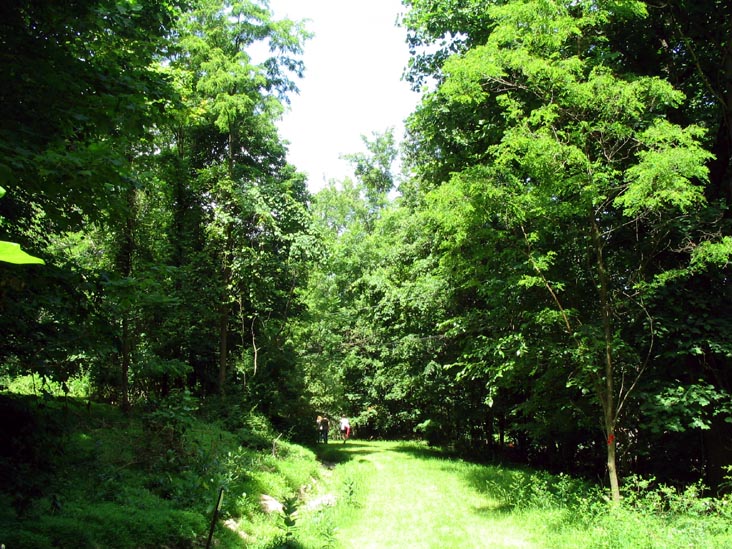 Short Hike To Sunnyside Road From Malouf's Mountain Sunset Camp, Overlook Trail, Beacon Hills, New York, June 24, 2007