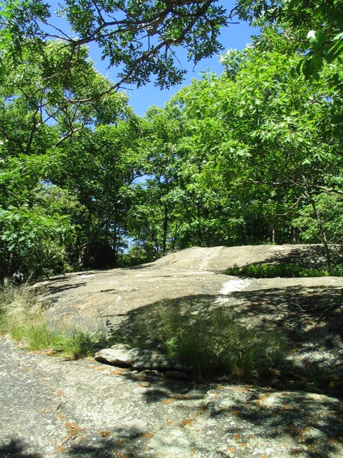 Wilkinson Memorial Trail, Hudson Highlands State Park, Dutchess County, New York
