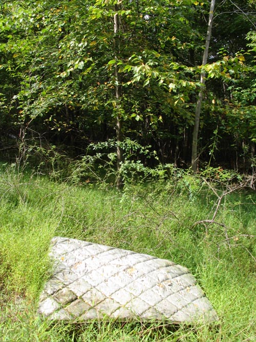 Yellow Trail, Fishkill Ridge, Dutchess County, New York