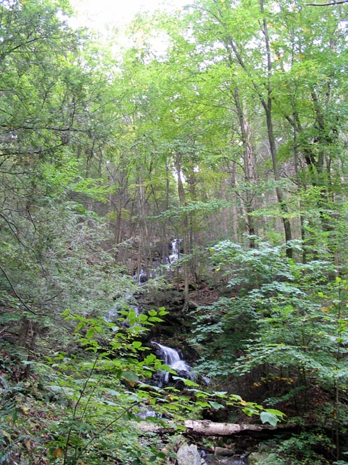 Fishkill Ridge Trail (White Trail), Fishkill Ridge, Dutchess County, New York
