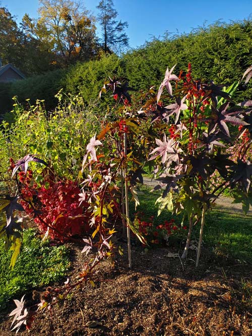 Gardens, Home of Franklin D. Roosevelt National Historic Site, Hyde Park, New York, October 16, 2022