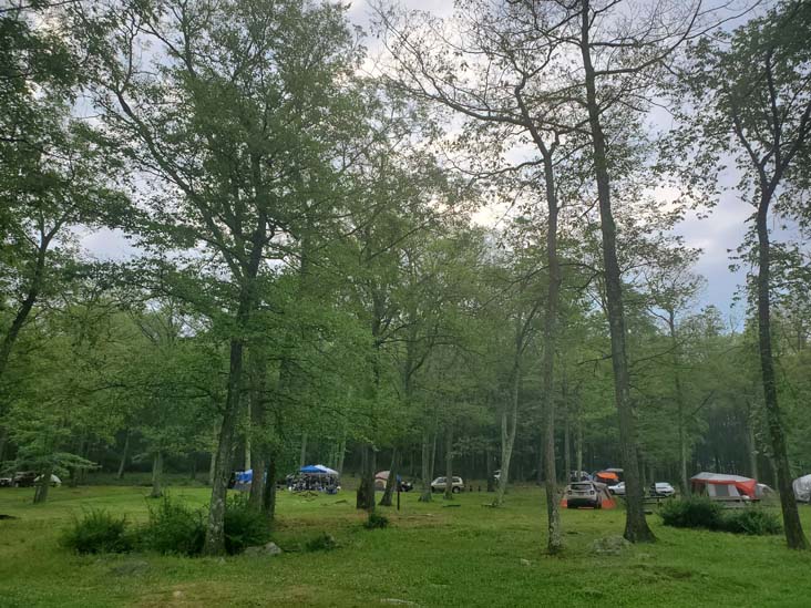 Beaver Pond Campground, Harriman State Park, New York, June 23, 2024