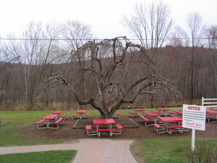 Outdoor Seating, Red Rooster Drive-In, Brewster, New York, April 8, 2006