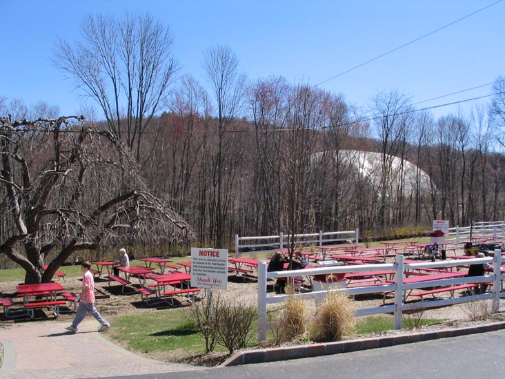 Red Rooster Drive-In, 1566 Route 22, Brewster, New York, April 9, 2006