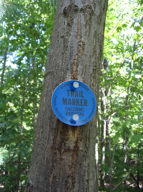 Arden Point Trail, Hudson Highlands State Park, Garrison, New York