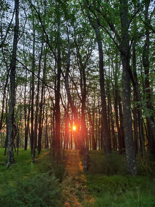 Mount Meenahga, Ellenville, New York, July 19, 2024