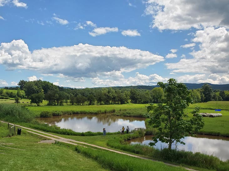 Kelder's Farm, Kerhonkson, New York, August 1, 2023
