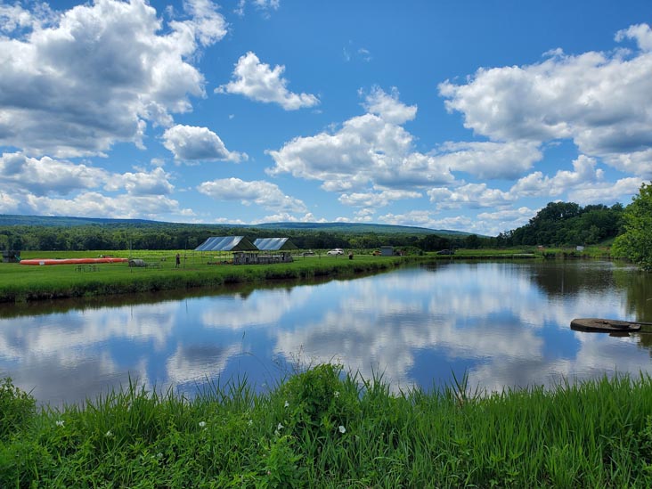 Kelder's Farm, Kerhonkson, New York, August 1, 2023